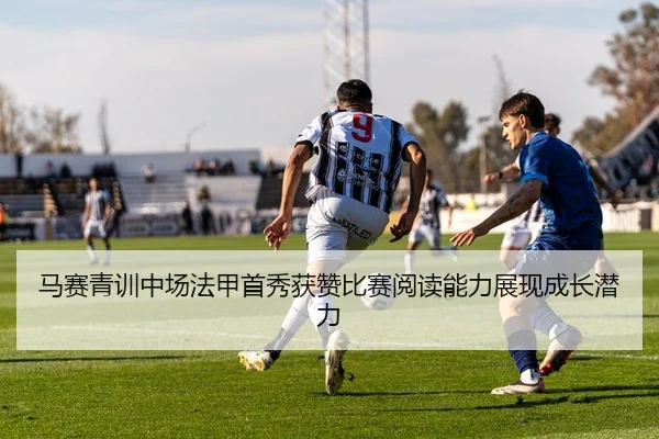 img_1784030574033_244_1_652.jpg